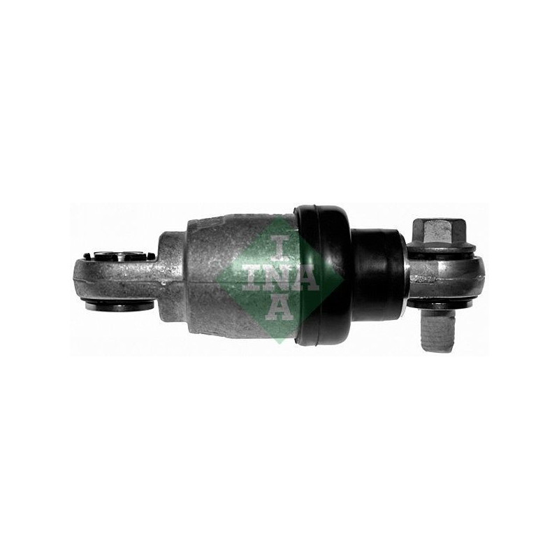 Tendicinghia trapezoidale - INA