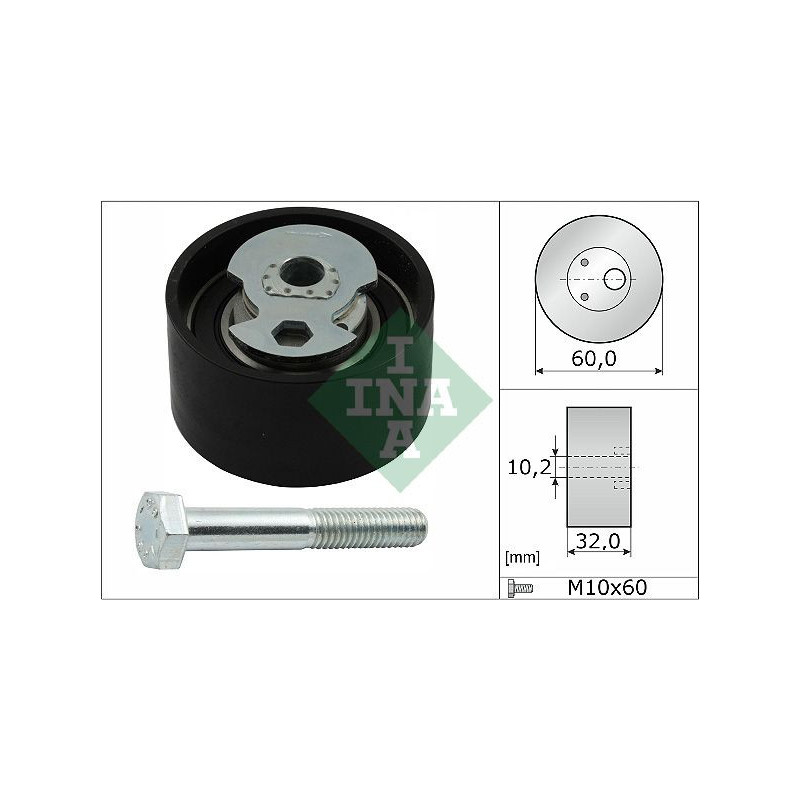 Tendicinghia distribuzione - INA