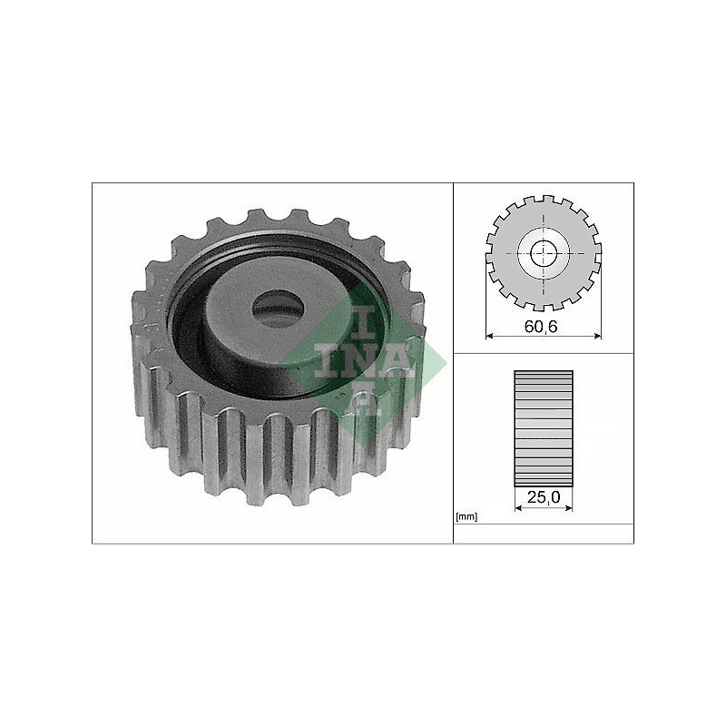 Tendicinghia distribuzione - INA