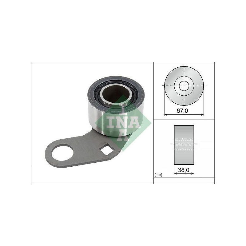 Tendicinghia distribuzione - INA