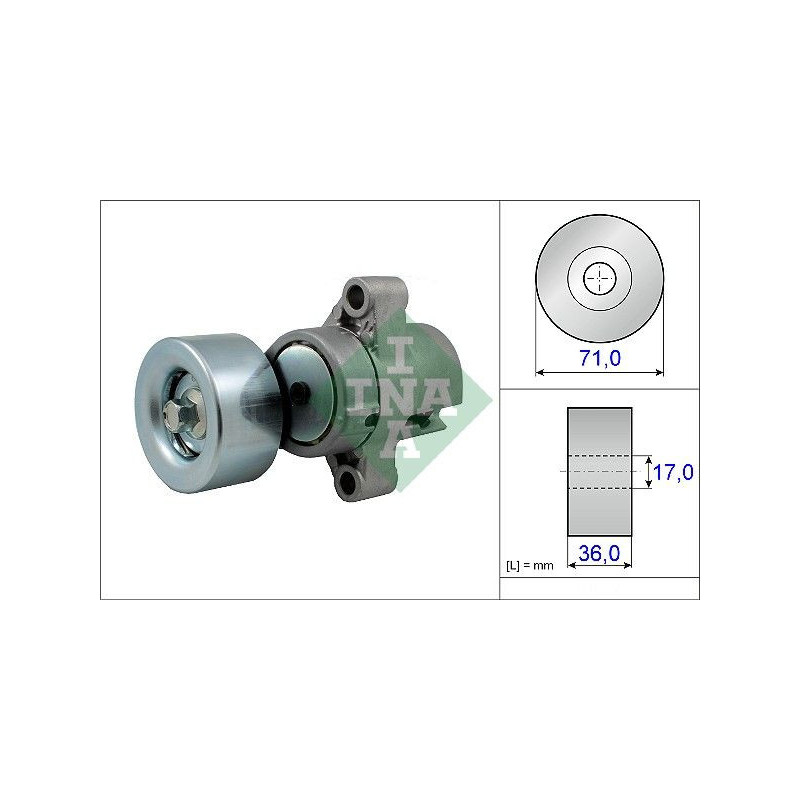 Tendicinghia trapezoidale - INA