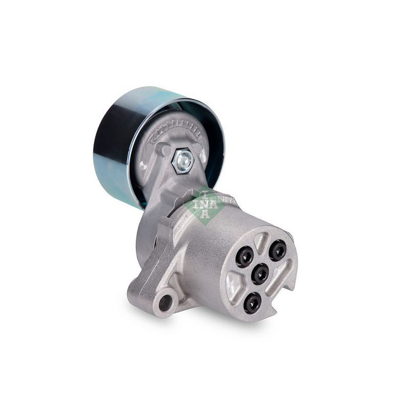 Tendicinghia trapezoidale - INA