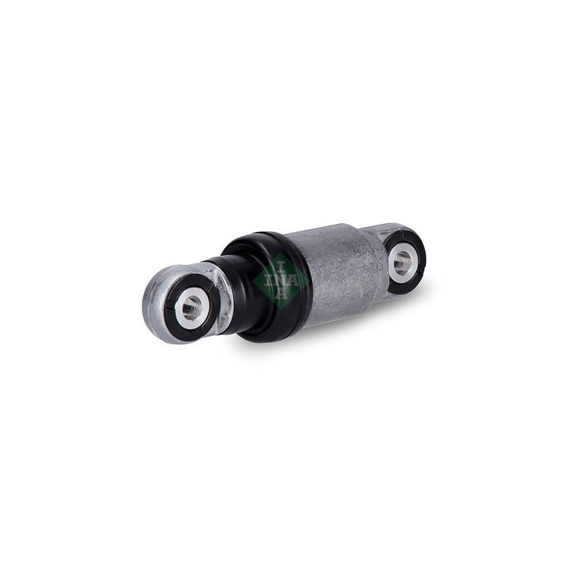 Tendicinghia trapezoidale - INA