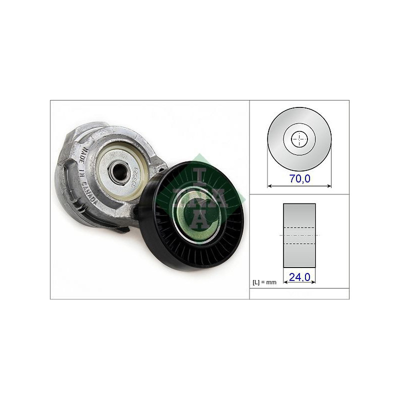 Tendicinghia trapezoidale - INA