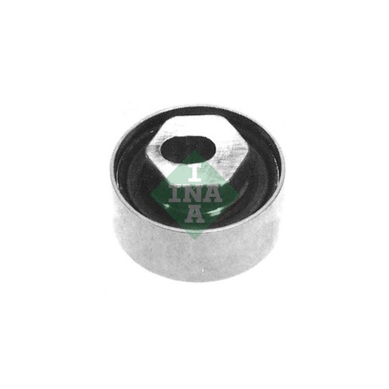 Tendicinghia distribuzione - INA