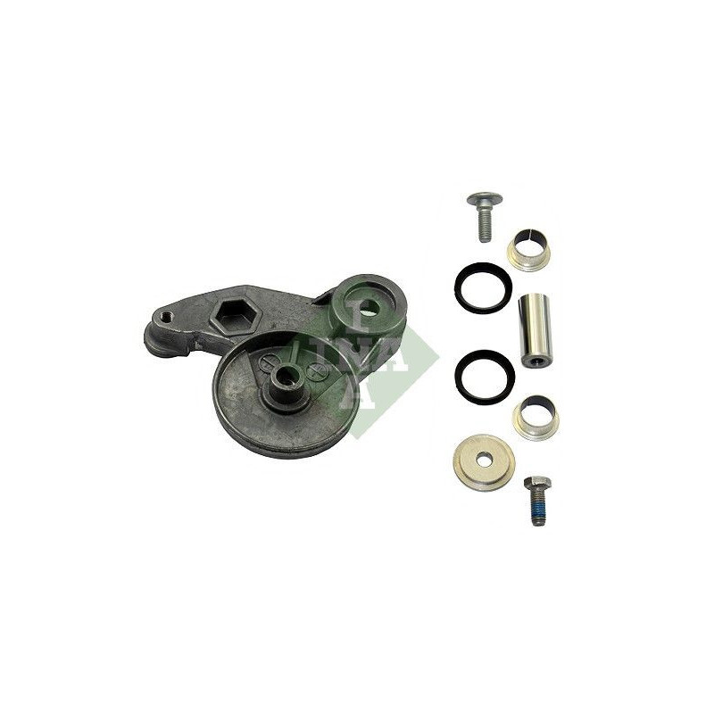 Tendicinghia trapezoidale - INA