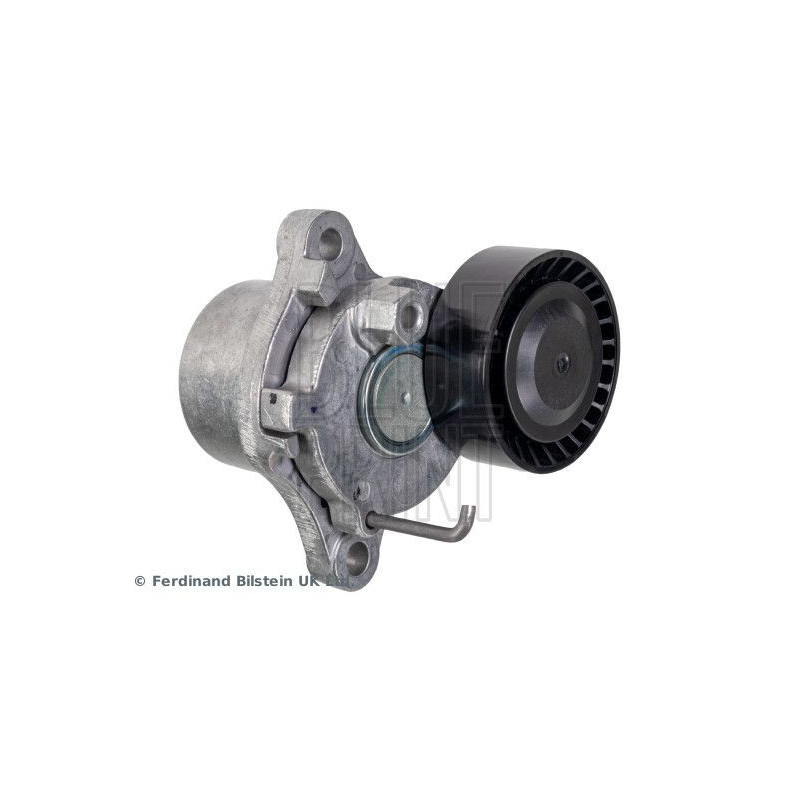 Tendicinghia trapezoidale - BLUE PRINT