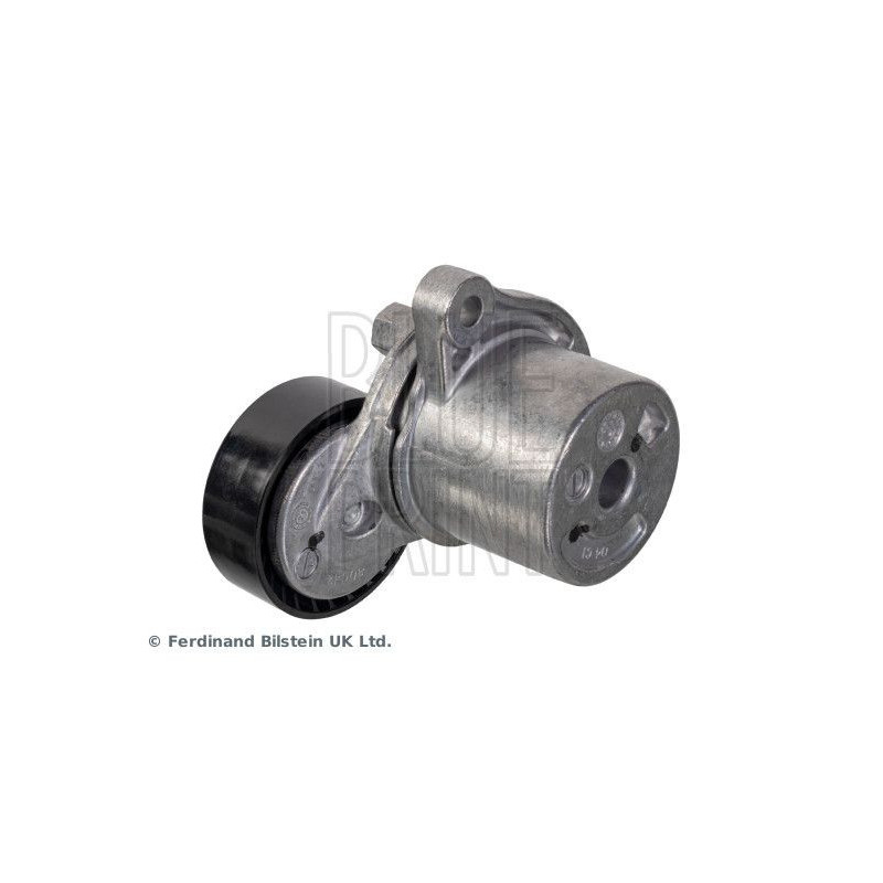 Tendicinghia trapezoidale - BLUE PRINT