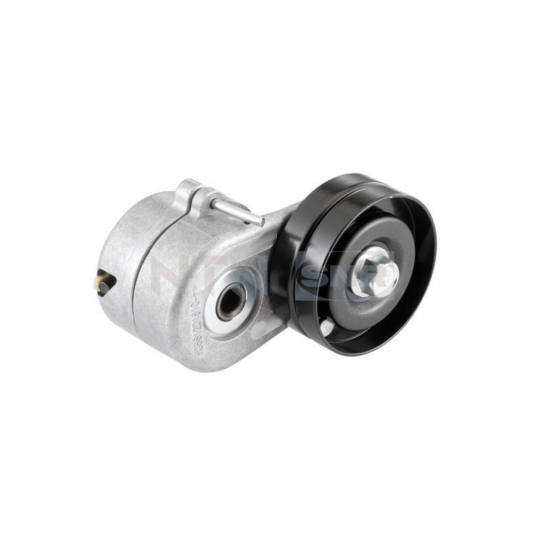 Tendicinghia trapezoidale - SNR