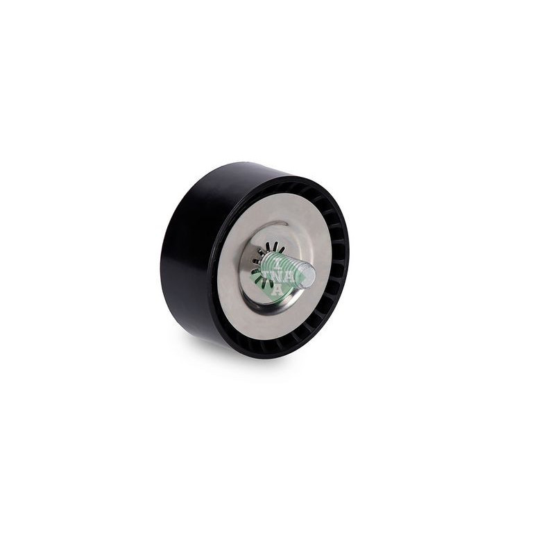 Tendicinghia trapezoidale - INA