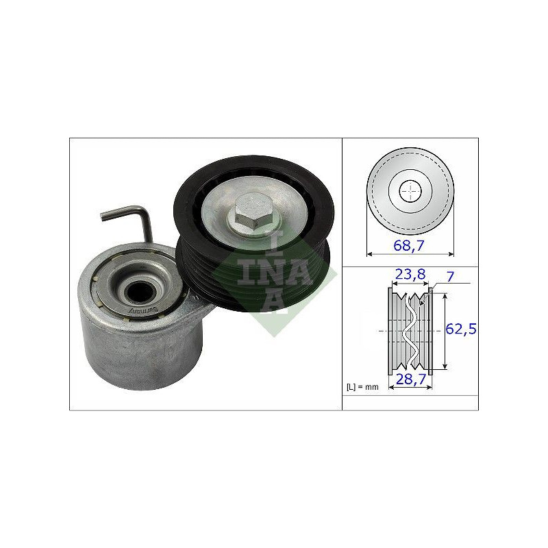 Tendicinghia trapezoidale - INA