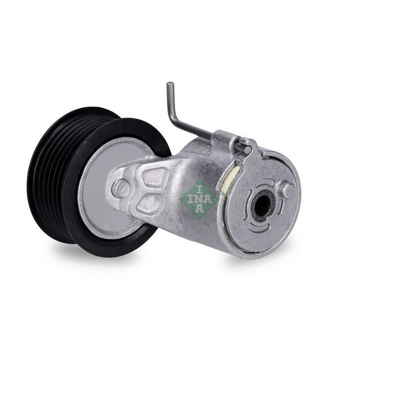 Tendicinghia trapezoidale - INA