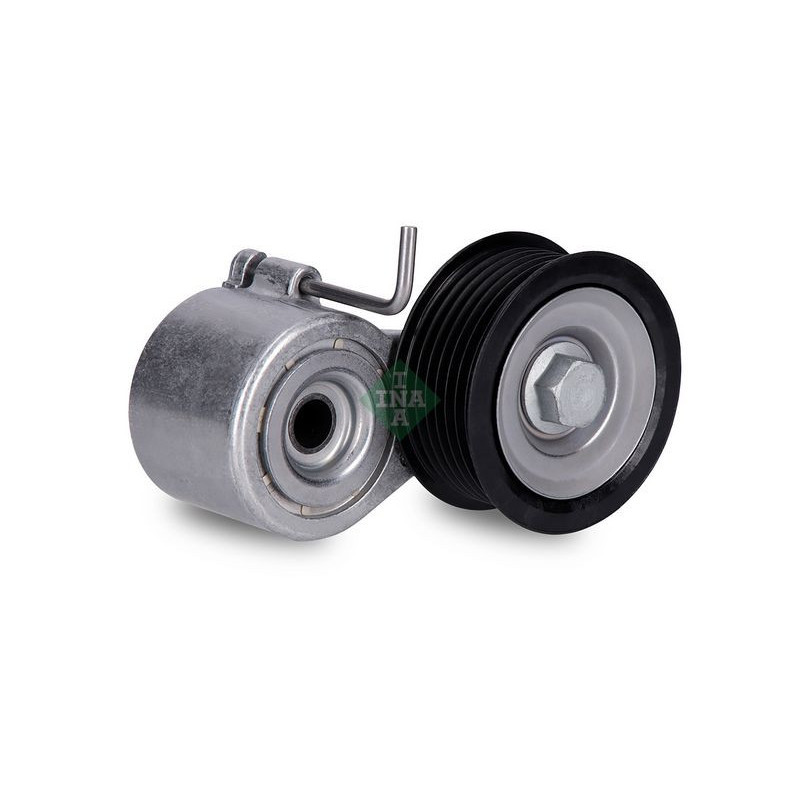 Tendicinghia trapezoidale - INA