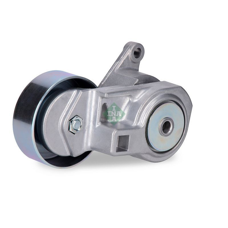 Tendicinghia trapezoidale - INA