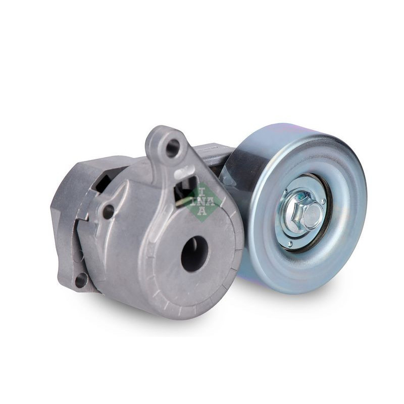 Tendicinghia trapezoidale - INA