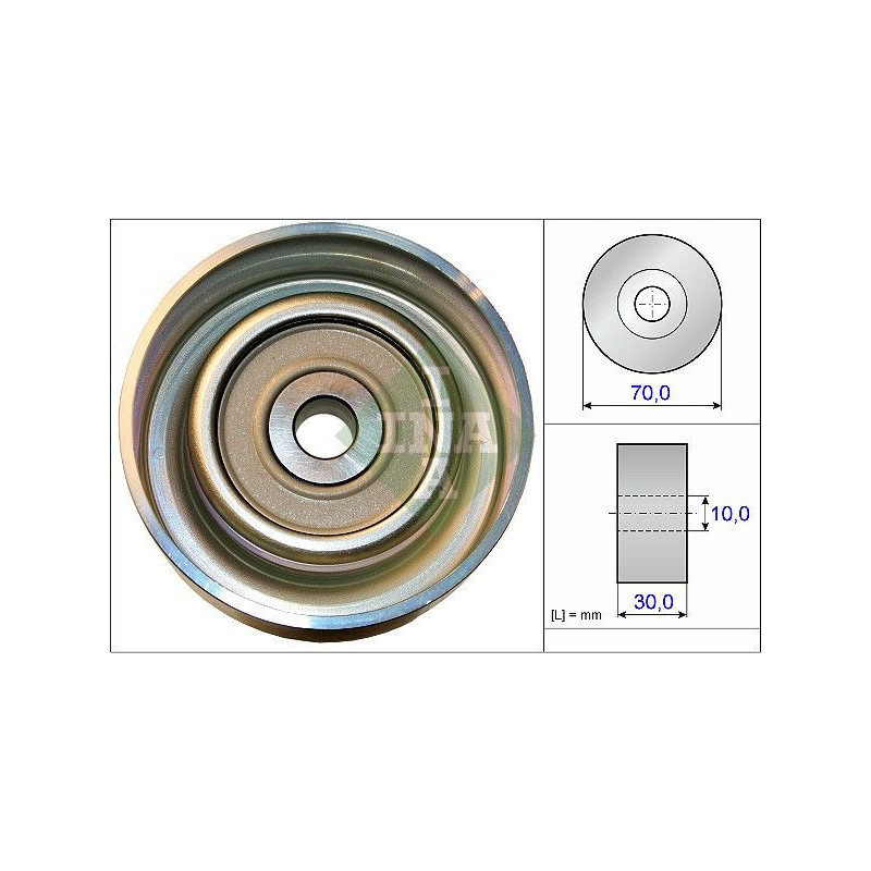 Tendicinghia trapezoidale - INA