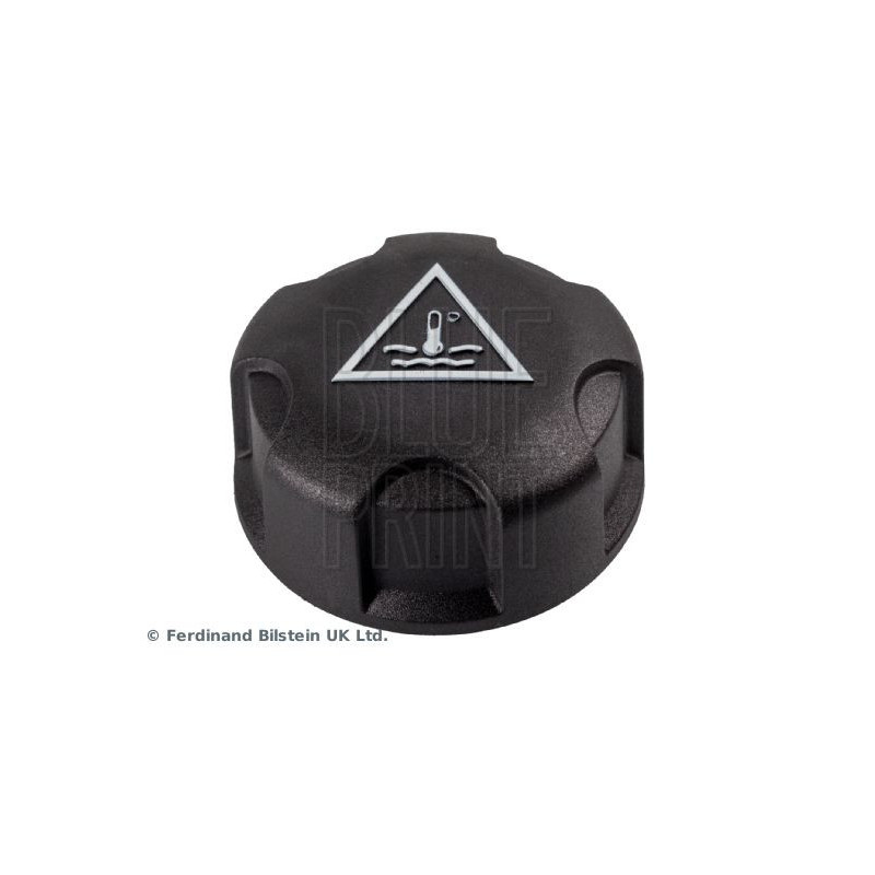 Vaschetta espansione - BLUE PRINT