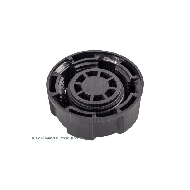 Vaschetta espansione - BLUE PRINT