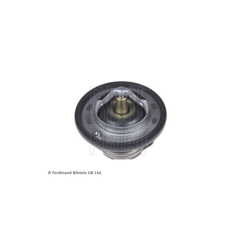 Termostato raffreddamento - BLUE PRINT