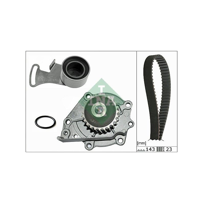 Tendicinghia trapezoidale - INA