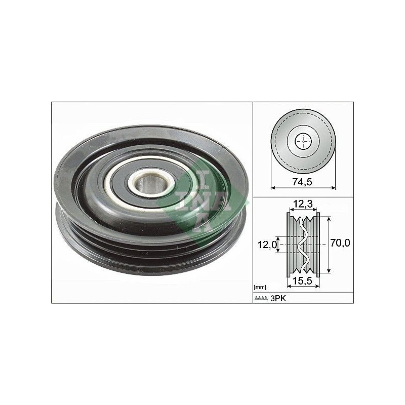 Tendicinghia trapezoidale - INA