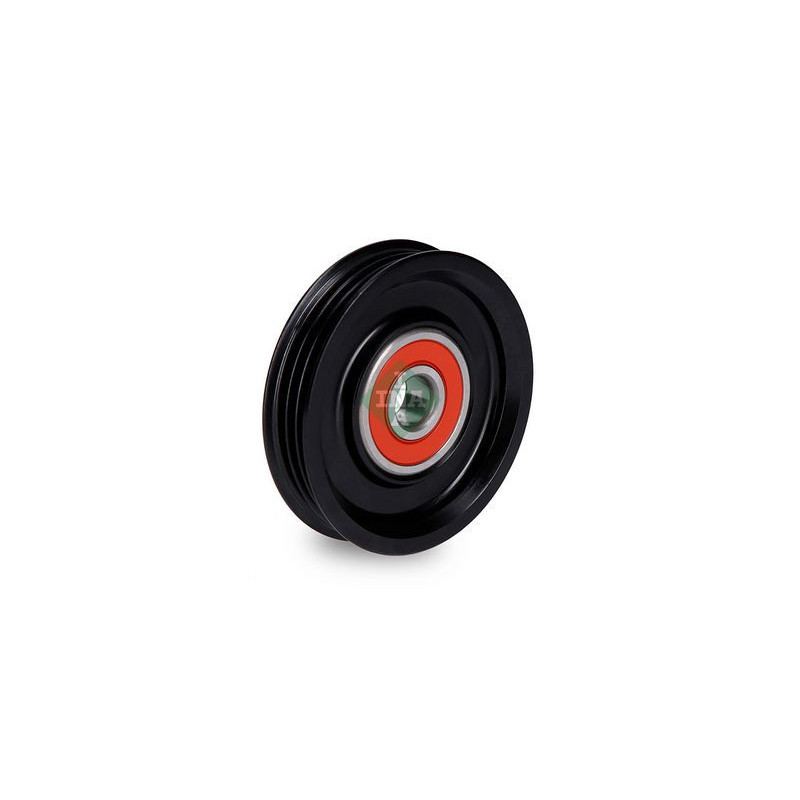 Tendicinghia trapezoidale - INA