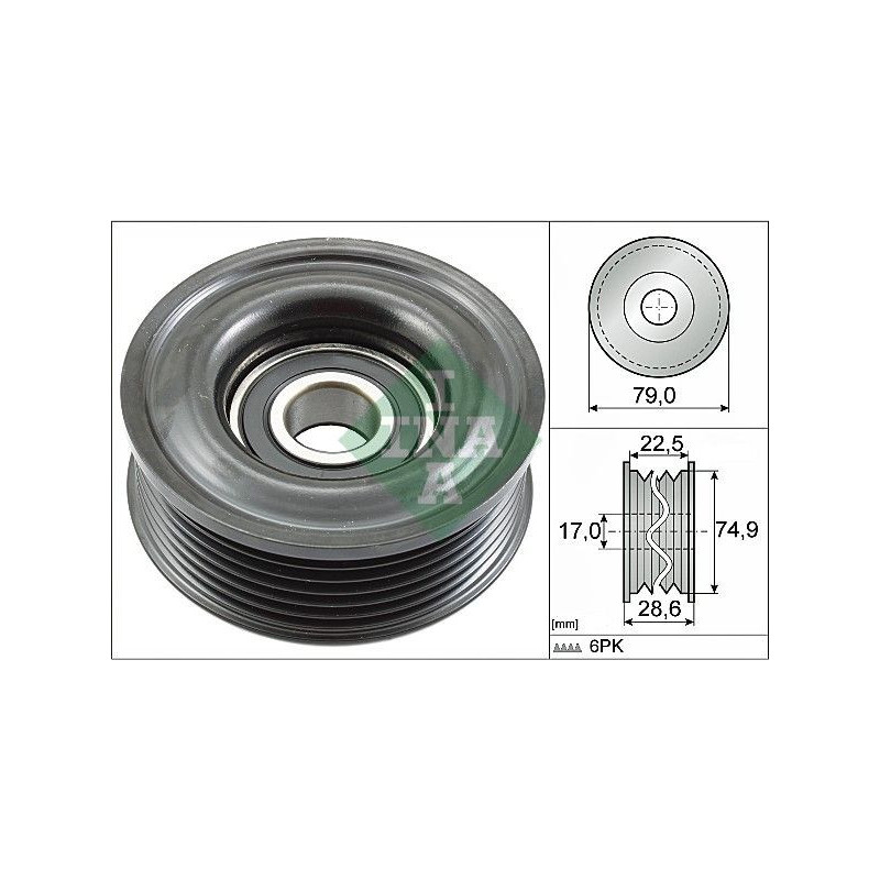 Tendicinghia trapezoidale - INA