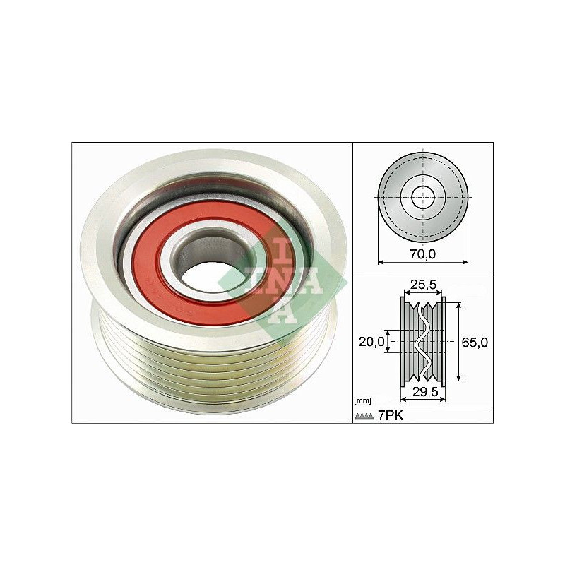 Tendicinghia trapezoidale - INA