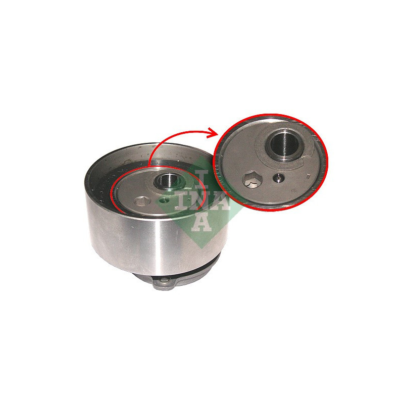 Tendicinghia distribuzione - INA