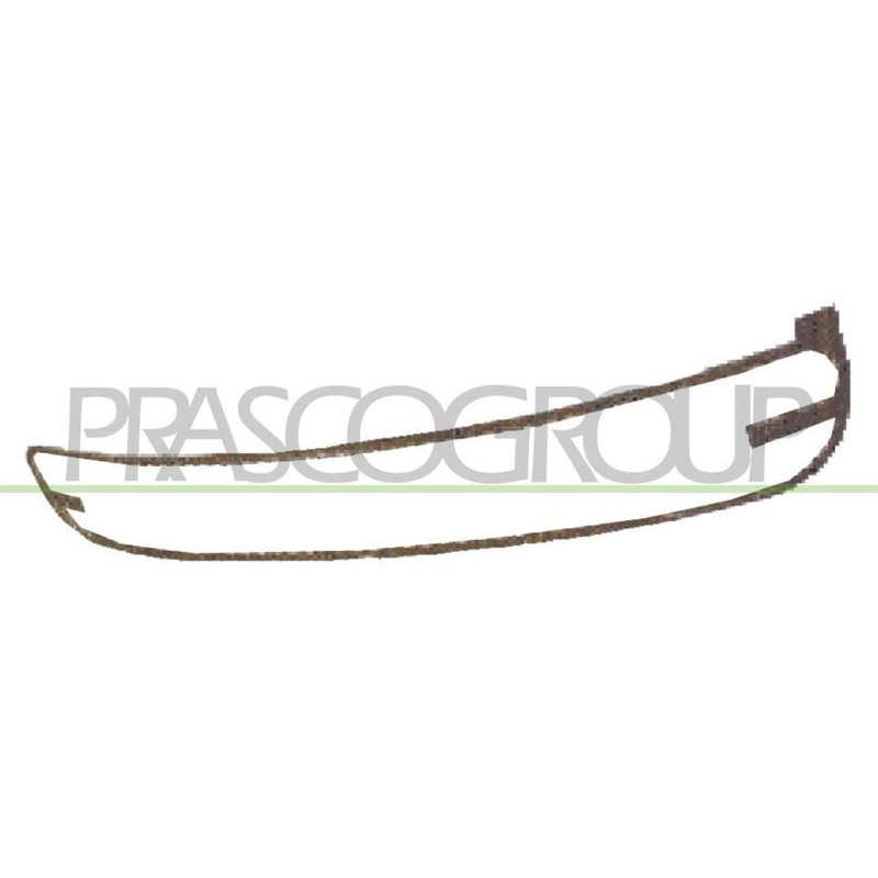 Griglia paraurti - PRASCO