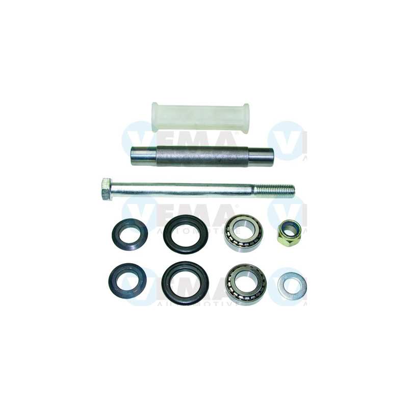 Braccio oscillante asse posteriore - VEMA