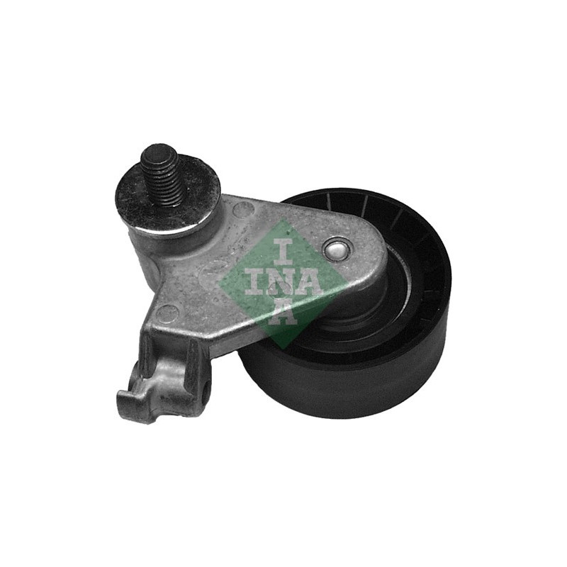 Tendicinghia distribuzione - INA