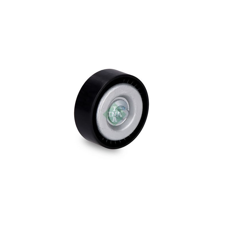 Tendicinghia trapezoidale - INA