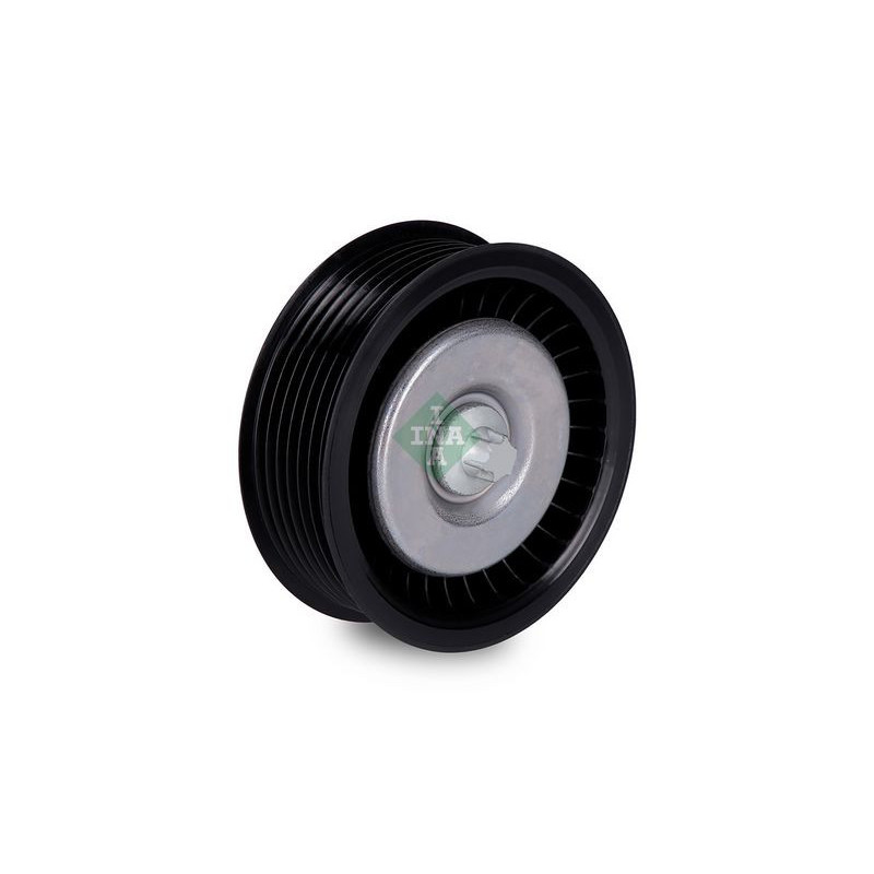 Tendicinghia trapezoidale - INA