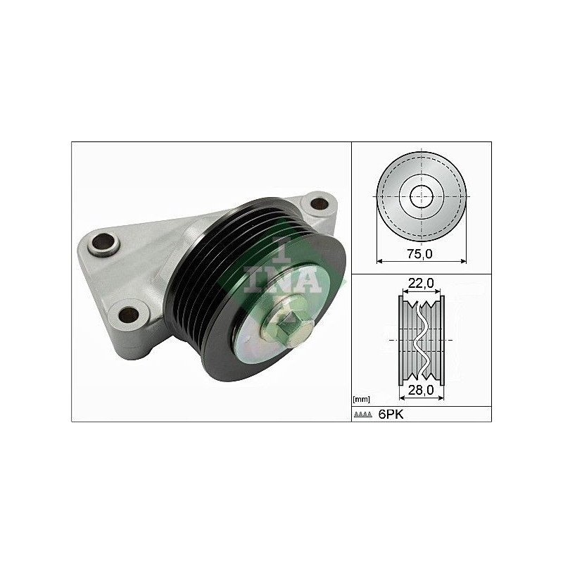 Tendicinghia trapezoidale - INA