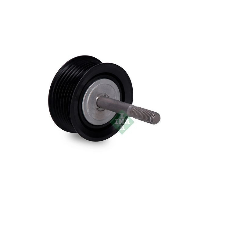 Tendicinghia trapezoidale - INA