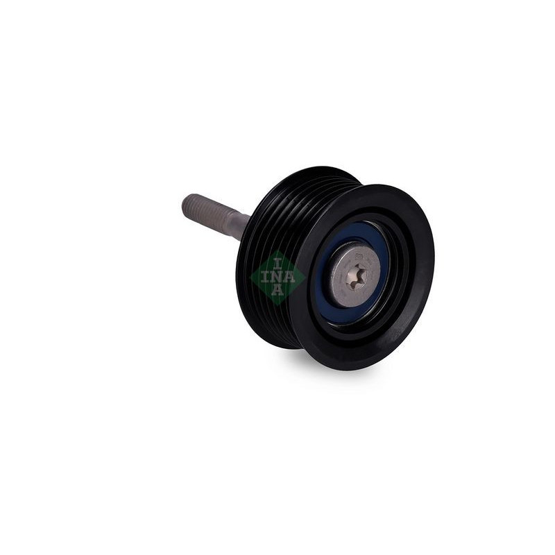 Tendicinghia trapezoidale - INA