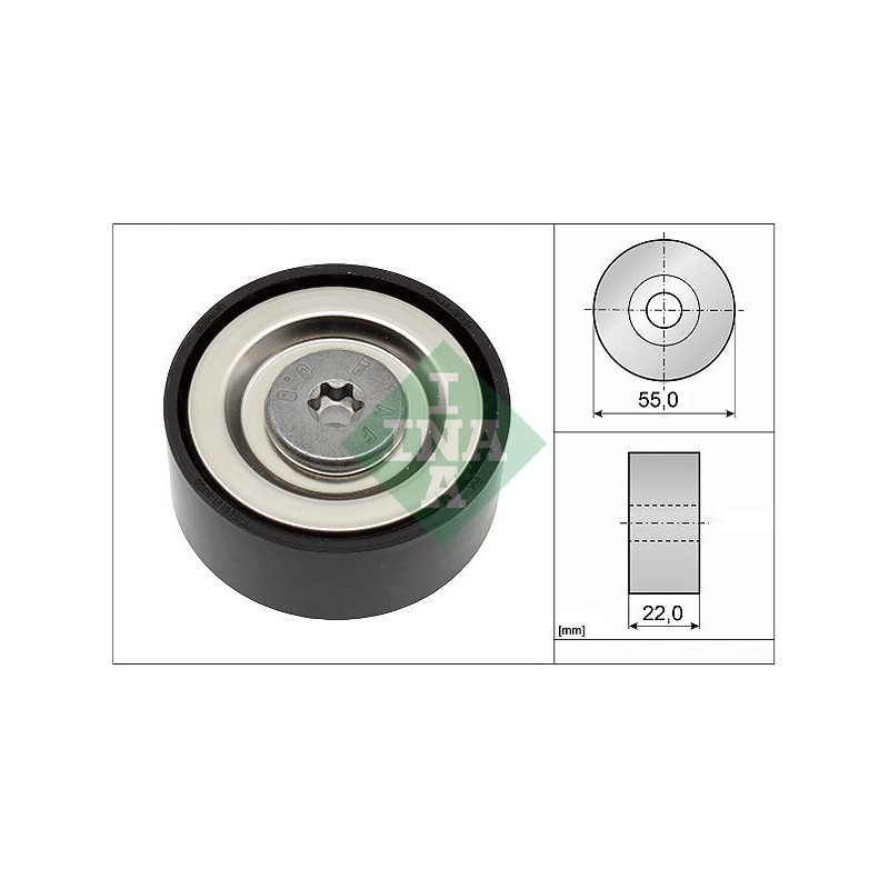 Tendicinghia trapezoidale - INA