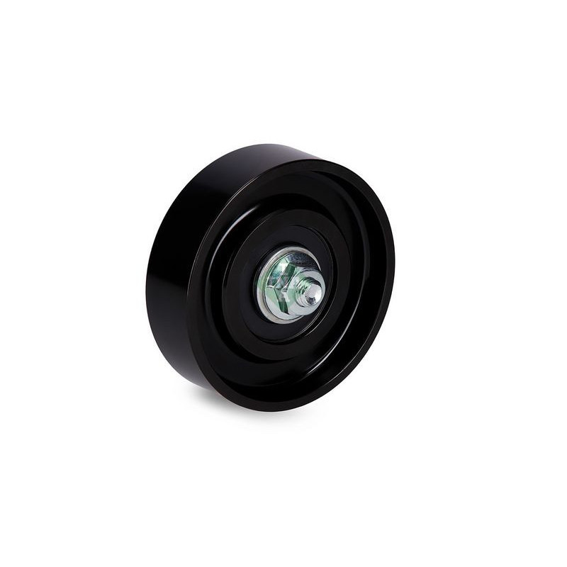 Tendicinghia trapezoidale - INA