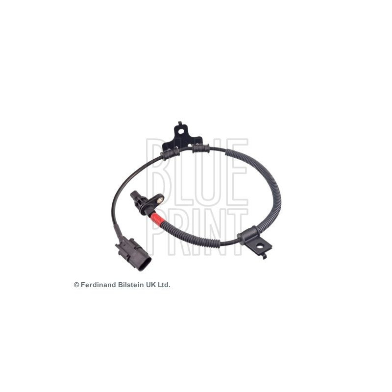 Sonda Lambda - BLUE PRINT