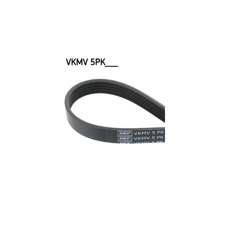 Cinghia trapezoidale - SKF