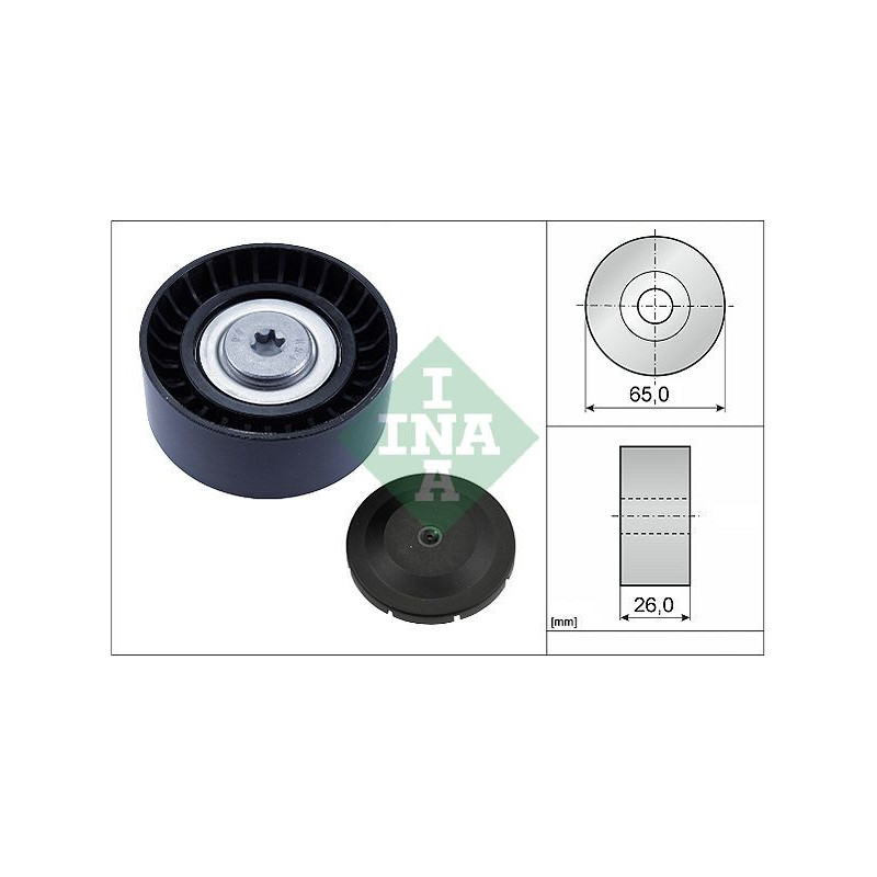 Tendicinghia trapezoidale - INA