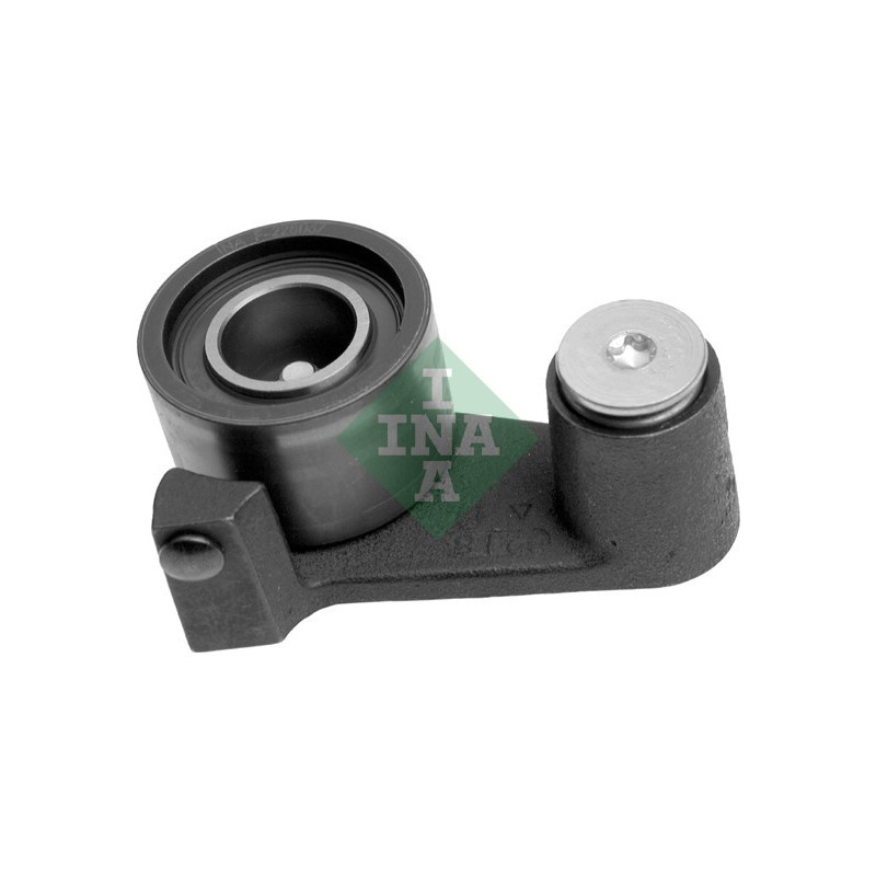 Tendicinghia distribuzione - INA