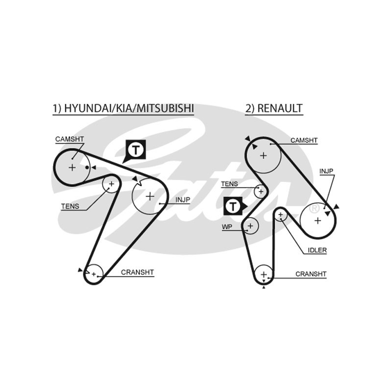 Cinghia/catena distribuzione - GATES