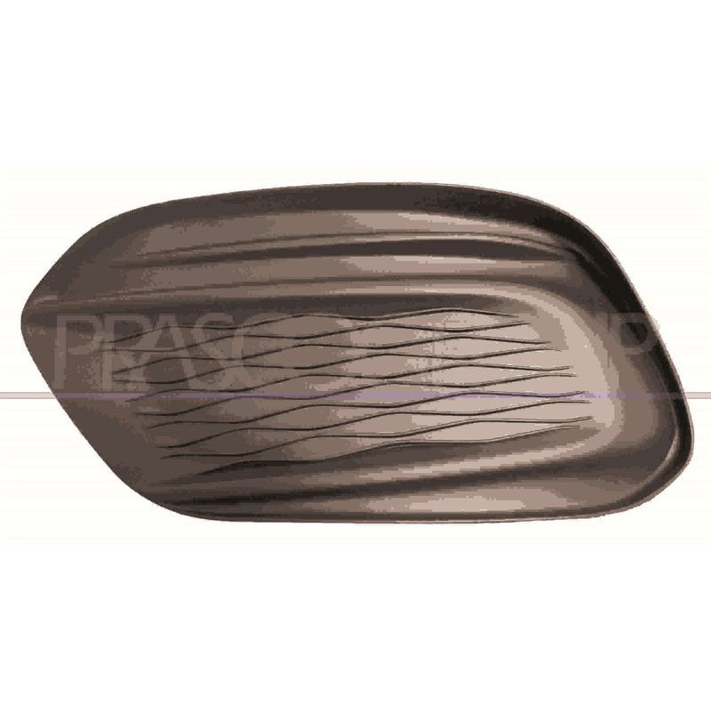 Griglia paraurti - PRASCO