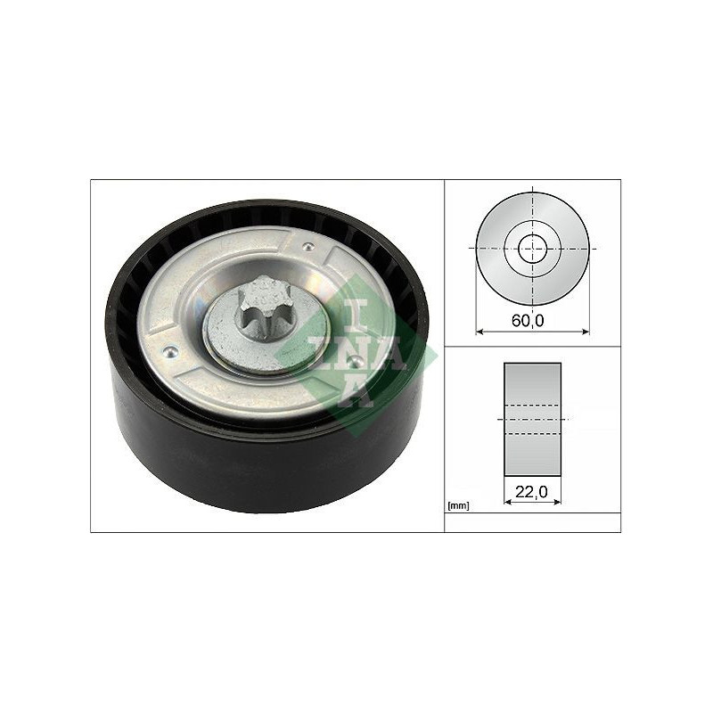 Tendicinghia trapezoidale - INA