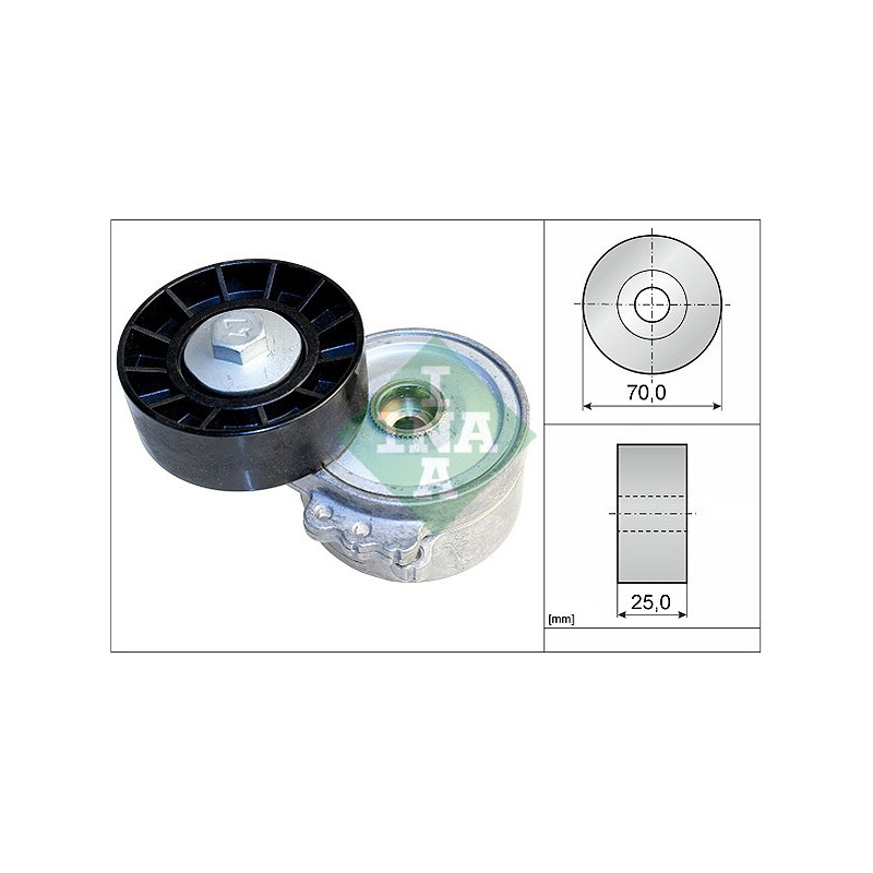 Tendicinghia trapezoidale - INA