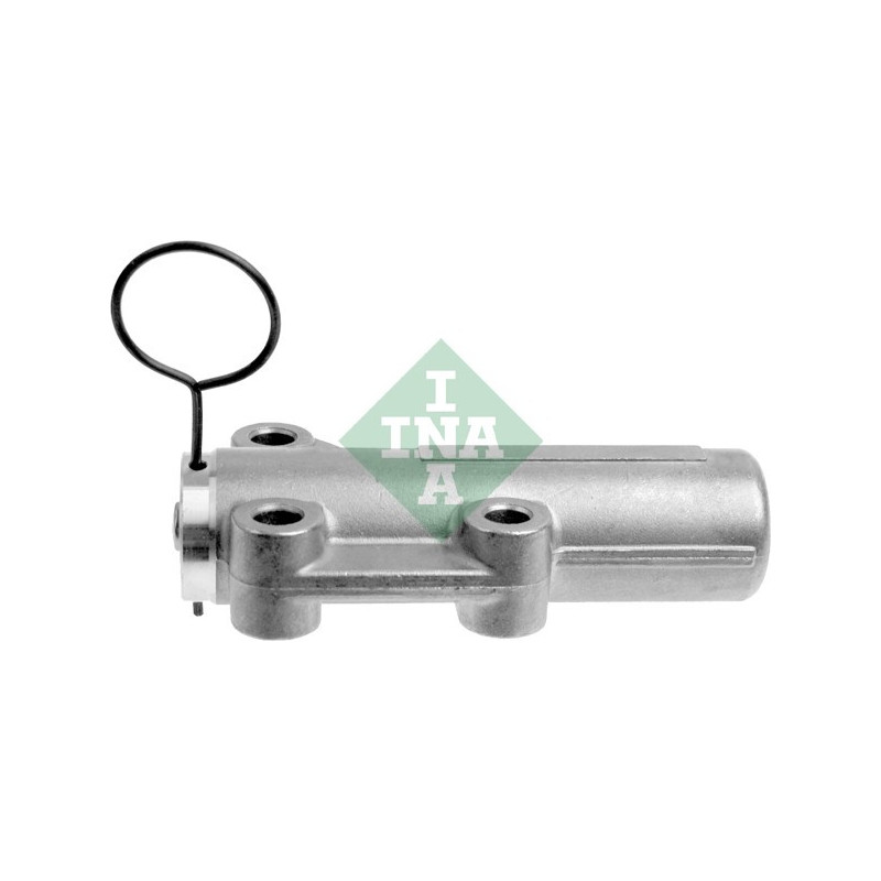 Tendicinghia distribuzione - INA