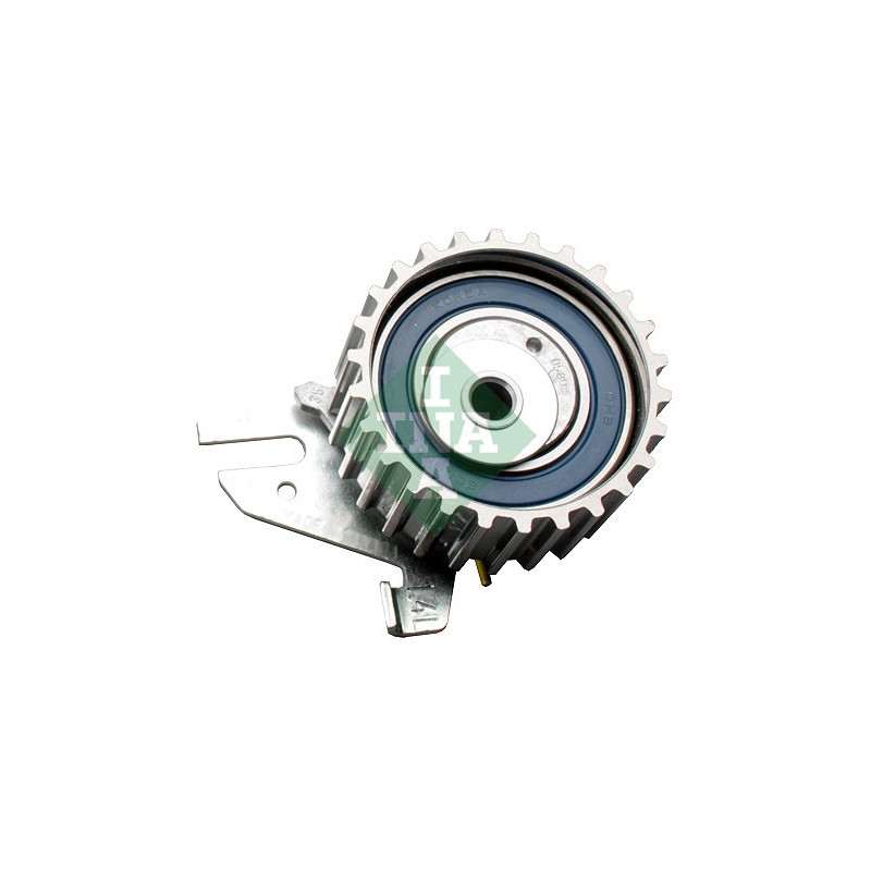 Tendicinghia distribuzione - INA