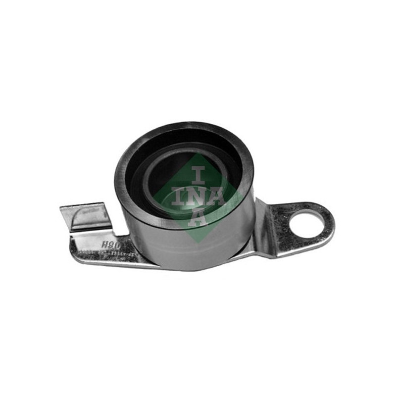 Tendicinghia distribuzione - INA